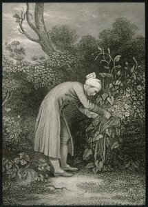 William Cowper by English School